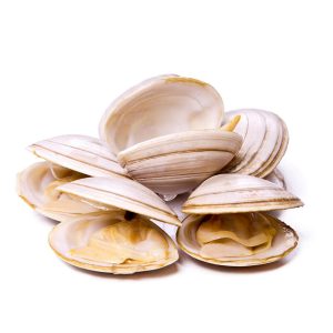 Almejas