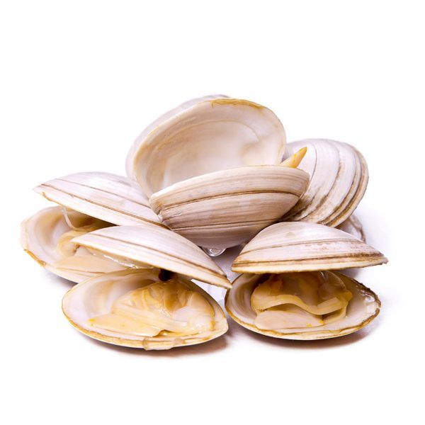 Almejas
