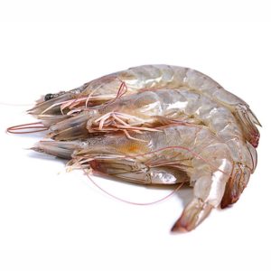 Langostinos